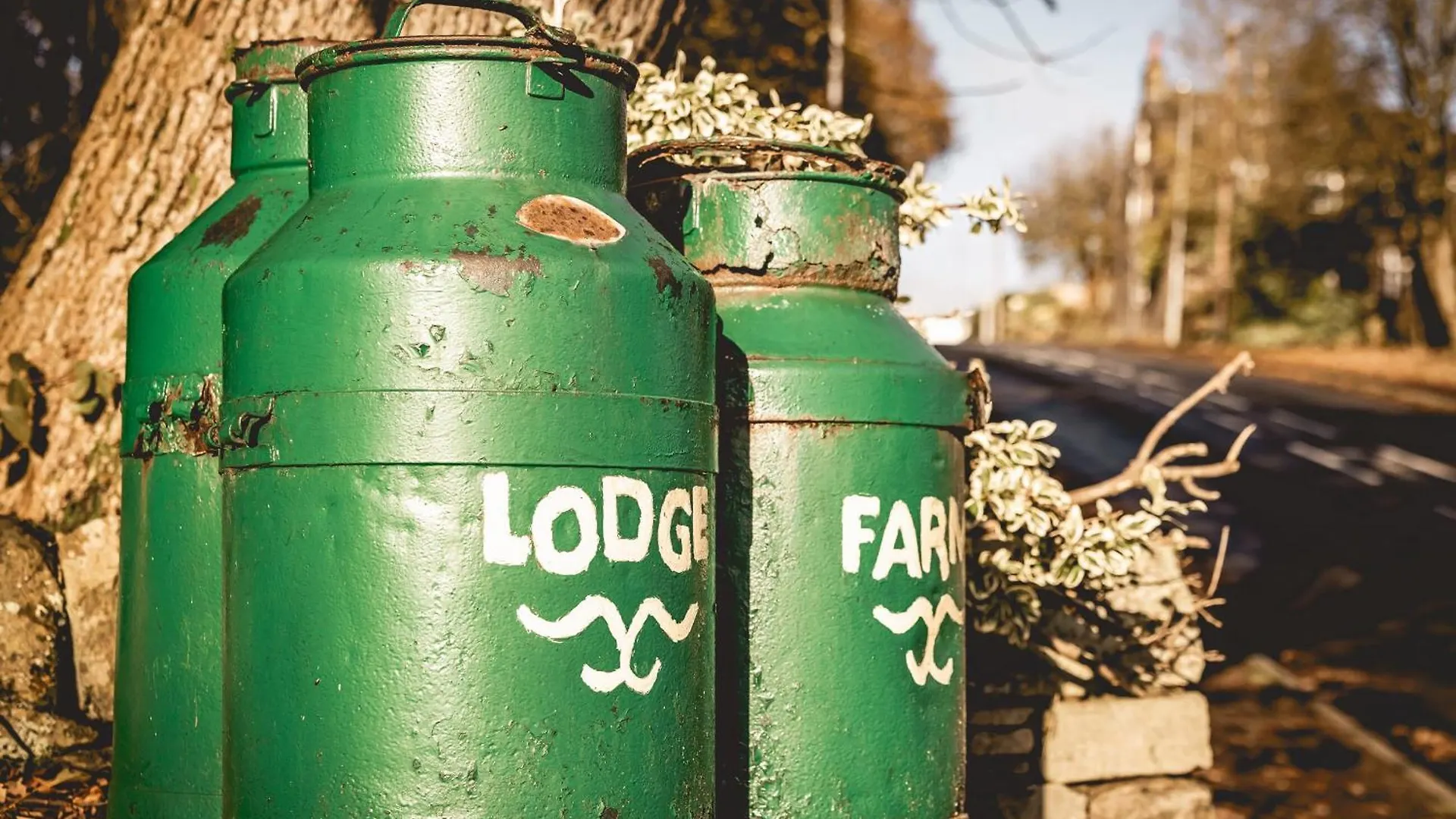 Lodge Farm Cottage هاوورث